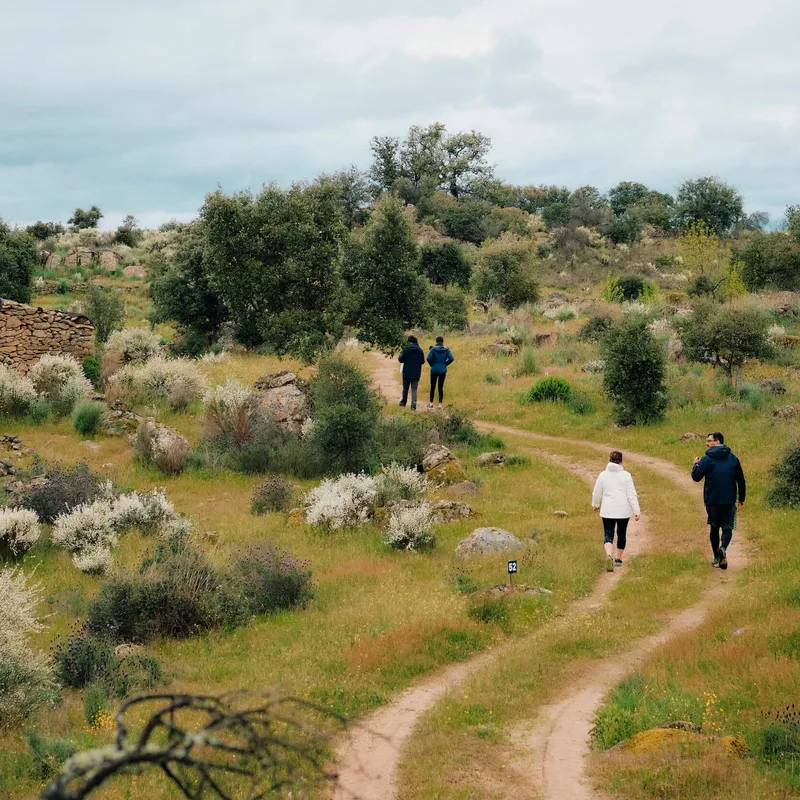 Two guests cycling in Portugal's Douro region