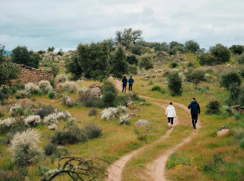 Guests walking in Faia Brava nature reserve in the Coa Valley