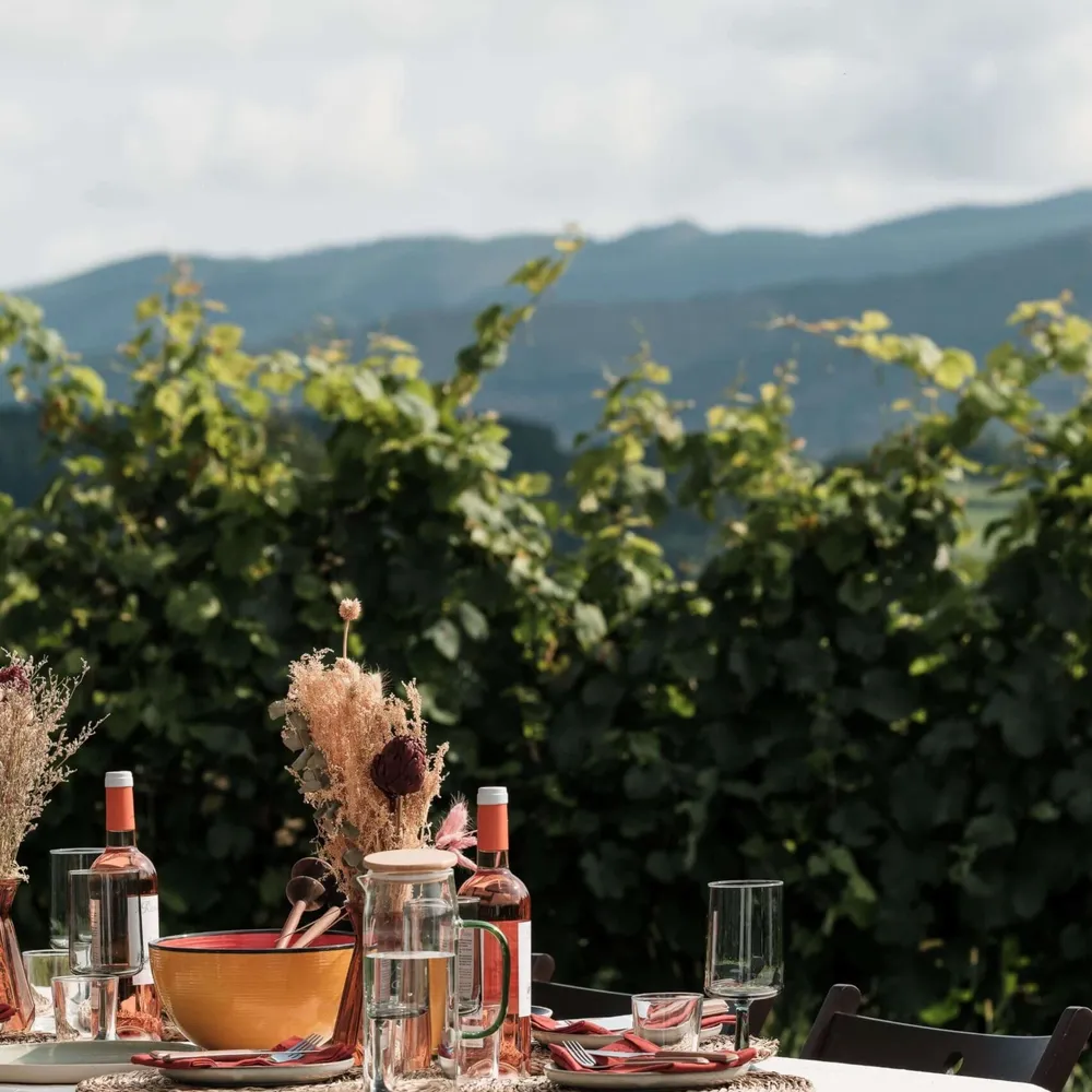 Wine and lunch at a vineyard in Spanish Basque country