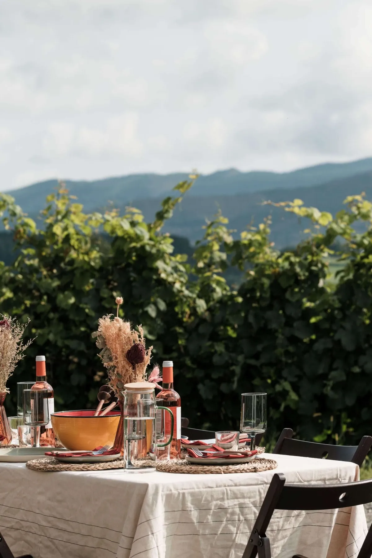 Wine and lunch at a vineyard in Spanish Basque country