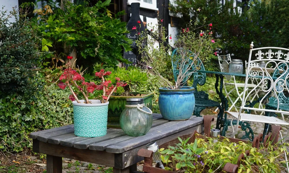 english garden flowers, herefordshire, UK