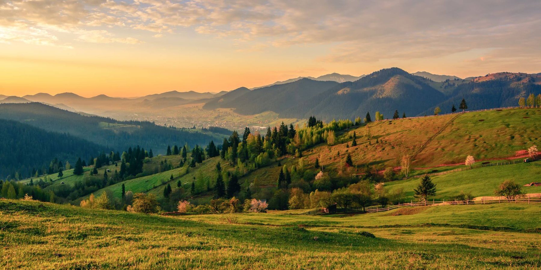 shutterstock_1366319279 (1)